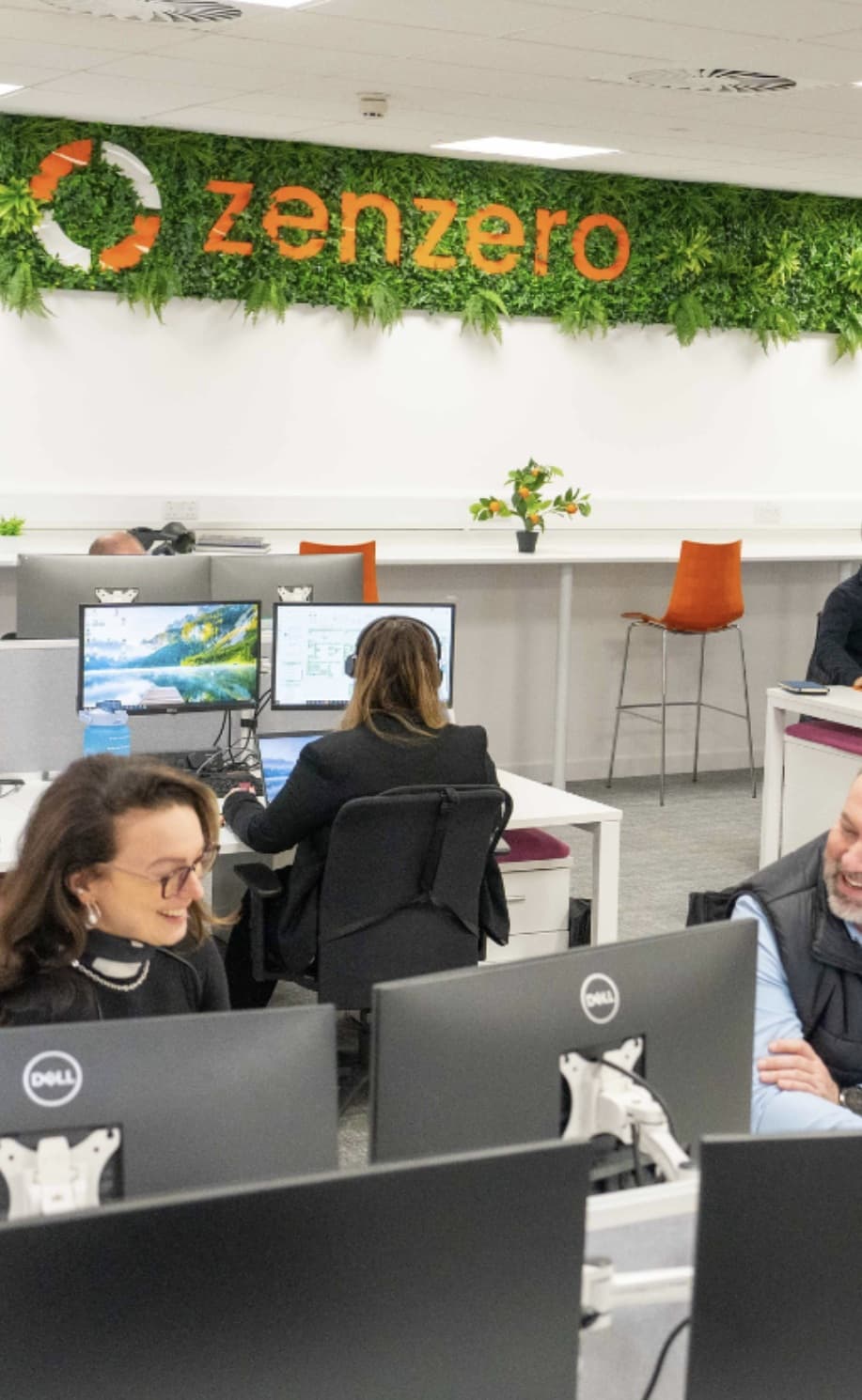 Zenzero case study