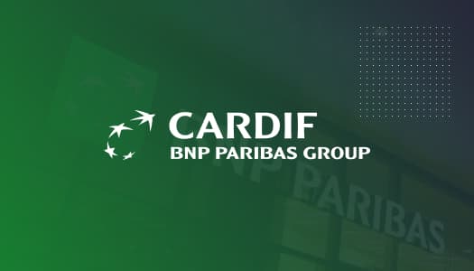BNP Paribas Cardif Assertive Media case study