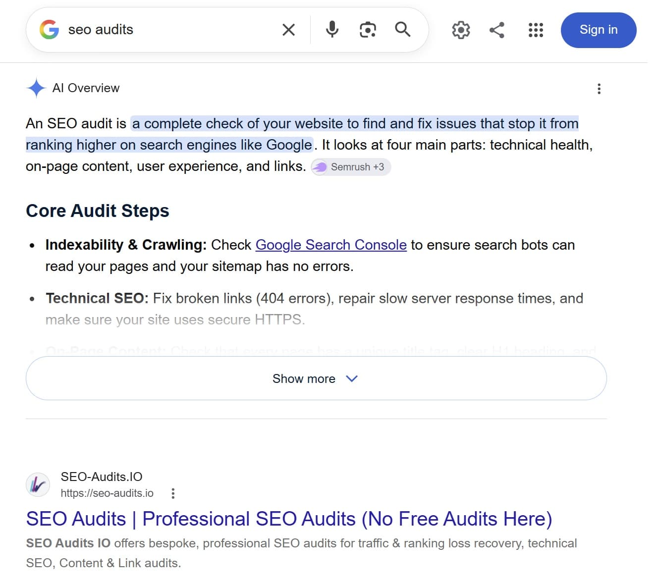 Assertive Media SEO audit work